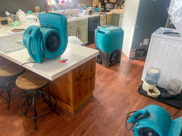 Best Basement water damage restoration  in Viroqua, WI