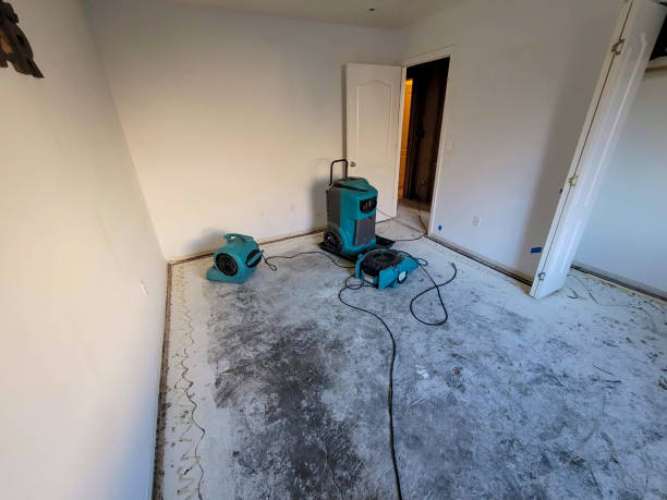 Best Water damage restoration near me  in Viroqua, WI