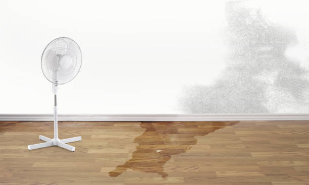 Best Commercial water damage restoration  in Viroqua, WI