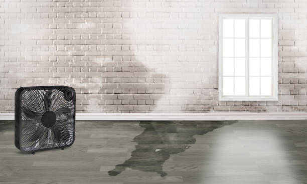 Best Emergency water damage restoration  in Viroqua, WI