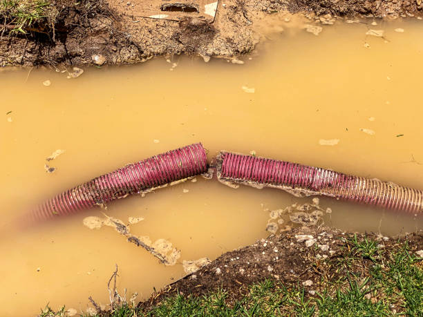 Best Emergency water extraction  in Viroqua, WI