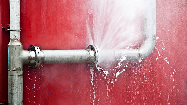 Best Water damage restoration near me  in Viroqua, WI